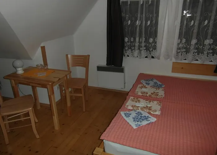 U Soudu Penzion 3*